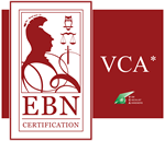 vca_logo_site